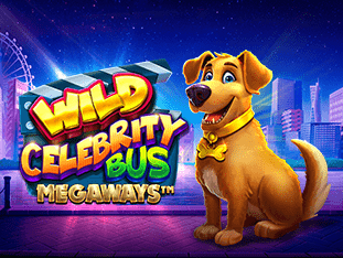 Wild Celebrity Bus Megaways thumbnail